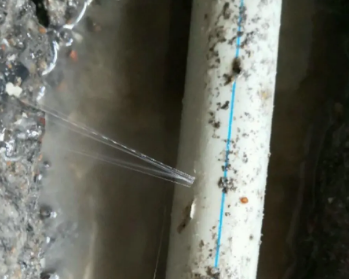 昌黎卫生间测漏水多少钱