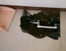 昌黎卫生间测漏水多少钱